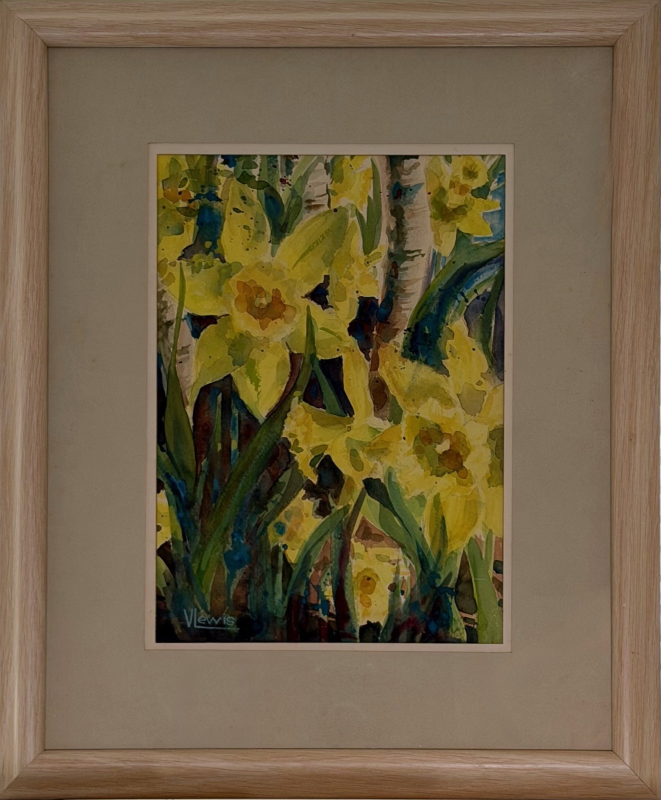 Daffodils in Bloom