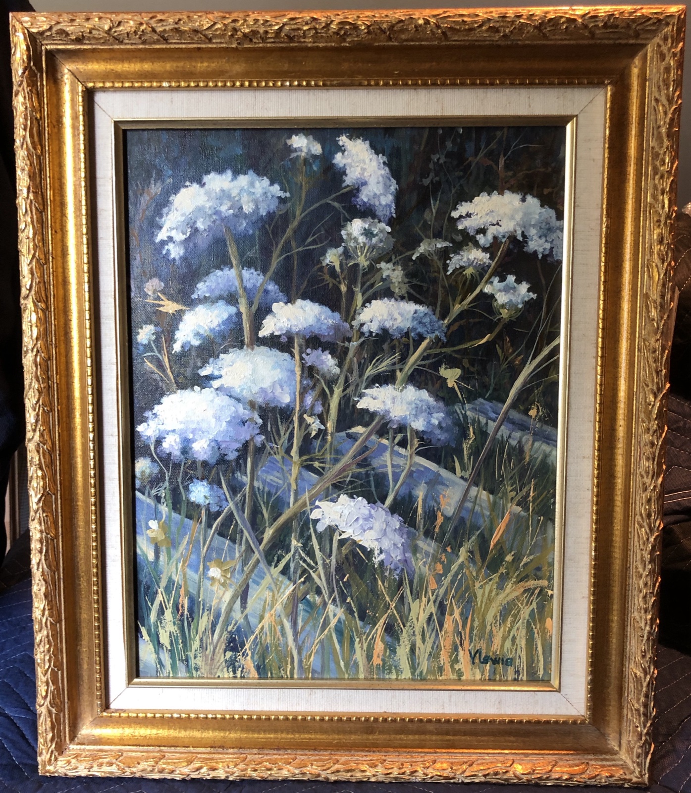 Queen Anne's Lace